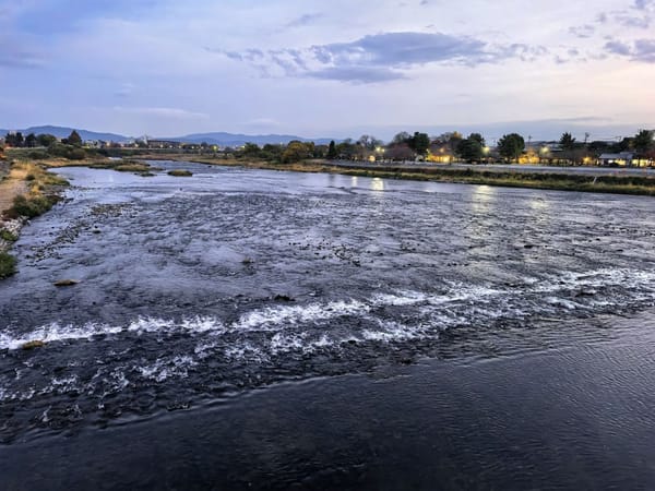 What 1,000 days of writing on LinkedIn has given me