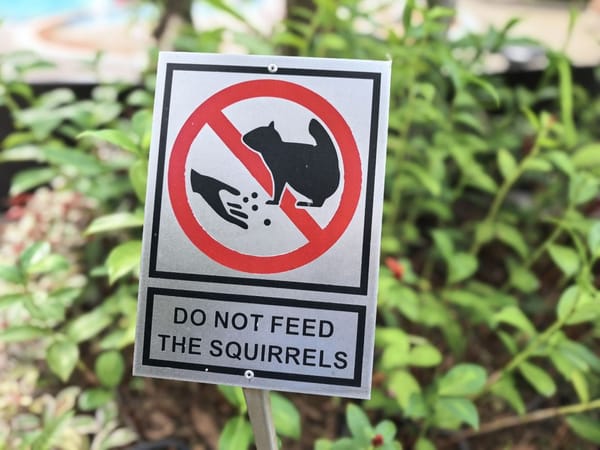 What worked and what didn't on LinkedIn in 2025